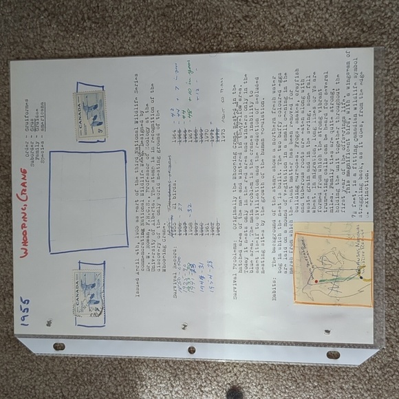 Endangered Birds Stamp Collection Sheet - Picture 8 of 8